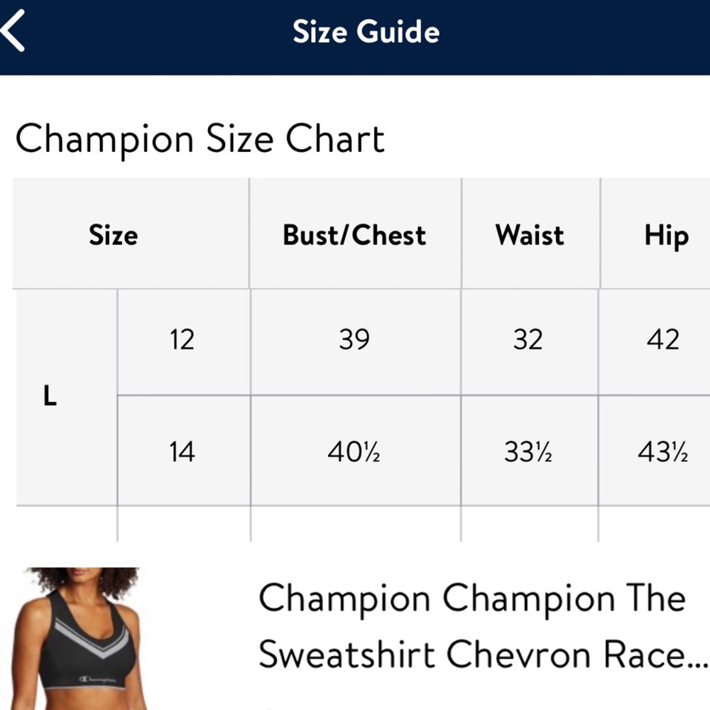 NEW! Champion Sweatshirt Chevron Sports Bra - Picture 5 of 8